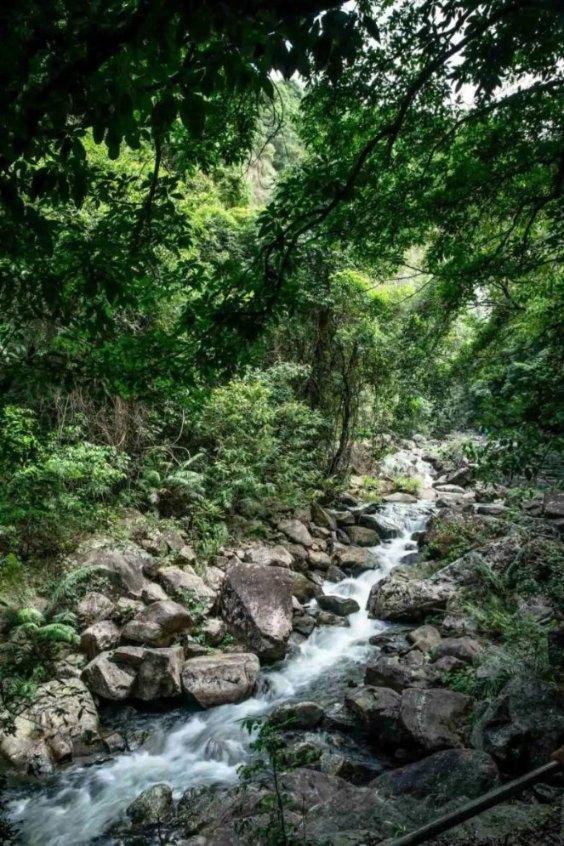 持续加码供应链,茶百道在福州成立高端茶叶生产公司